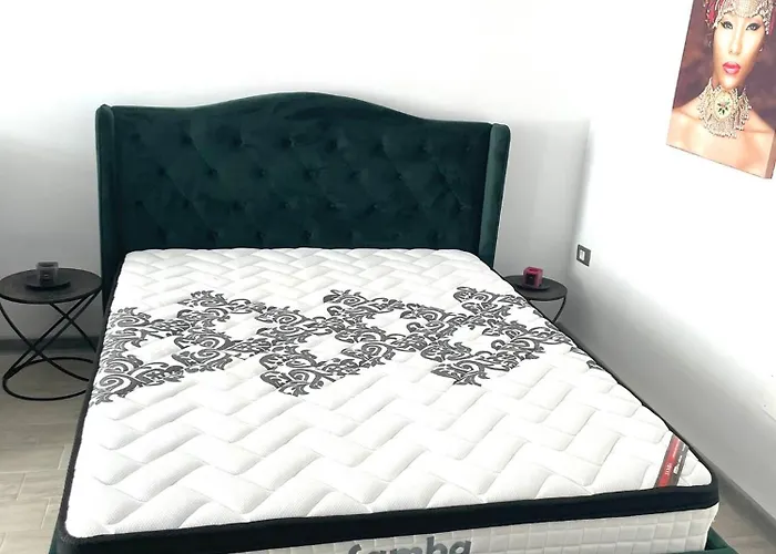 Nik And Dom Alezzi * Năvodari